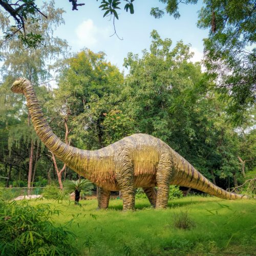 Dinosaurs